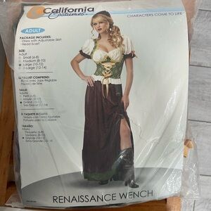 Renaissance Wench Costume
